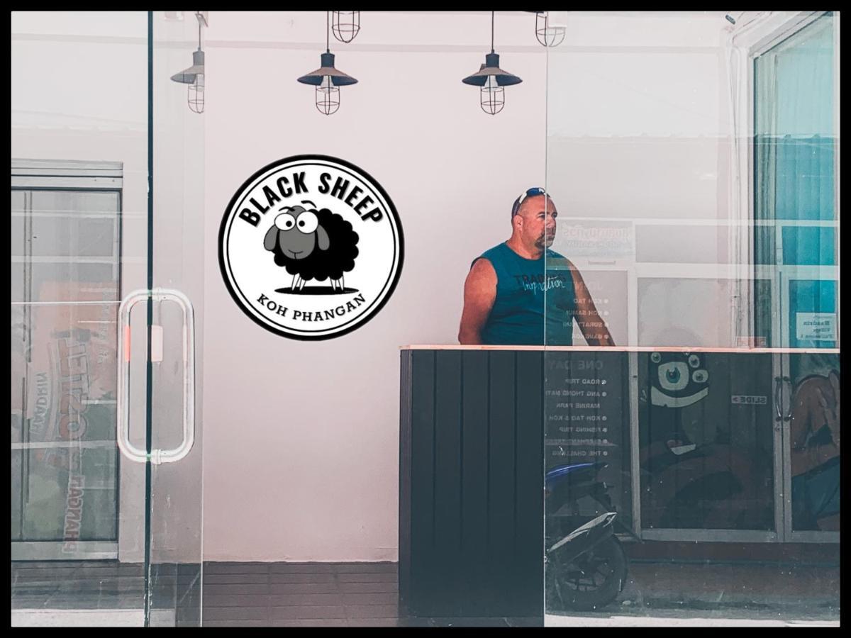 The Black Sheep Hostel 哈林海滩 外观 照片